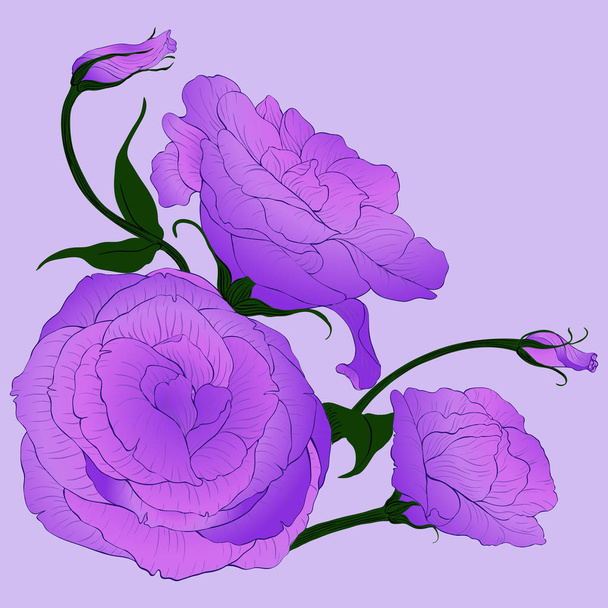Vector drawing. Eustoma - flowers and buds. Decorative composition - a bouquet of flowers.Wallpaper. Use printed materials, signs, posters, postcards, packaging.  - Vector, Image