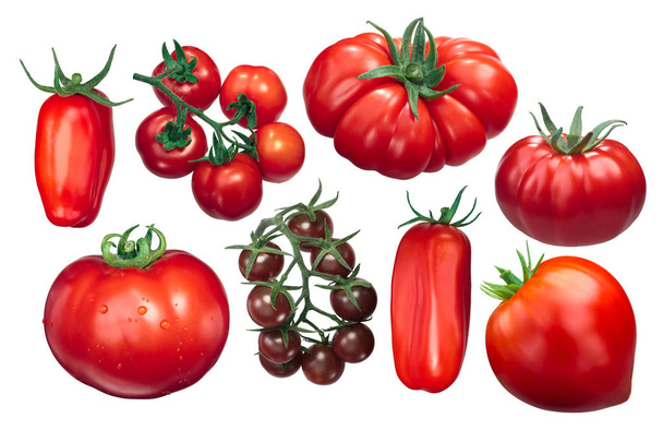 Italská rajčata, různé odrůdy, cesty - Fotografie, Obrázek