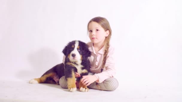 Dívka a štěně Bernský pastevecký pes - Záběry, video