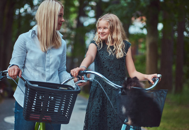 Портрет матері і дочки з білявим волоссям на велосипеді їздити зі своїм милим маленьким шпіц собакою в парку
. - Фото, зображення