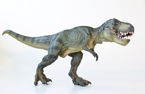 Un tyrannosaure chasse sur fond blanc
 - Photo, image