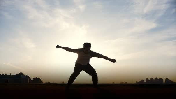 スローモーション - 若い男性パルクール トリッカー ジャンパーが太陽の前に驚くべき反転を実行します。 - 映像、動画