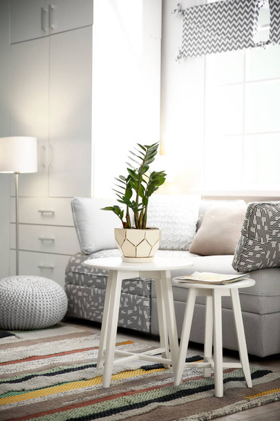 Stylish living room interior with comfortable sofa - Foto, imagen