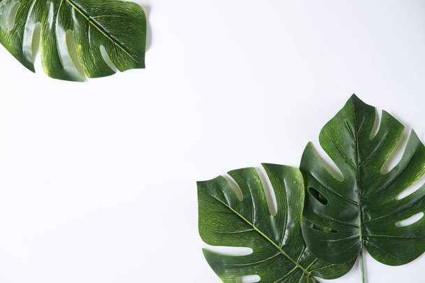 Diseño natural hecho de hojas verdes tropicales
. - Foto, Imagen