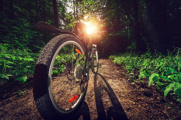 Hegyi kerékpározás lefelé dombon gyorsan leereszkedő kerékpárral. Kilátás kerékpárosok szeméből. - Fotó, kép