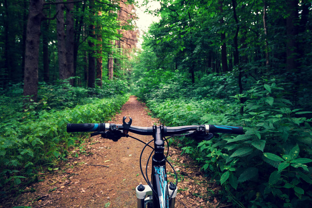 Mountain biking down hill descending fast on bicycle. View from bikers eyes. - Foto, imagen
