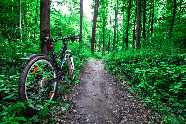 Mountain biking down hill descending fast on bicycle. View from bikers eyes. - Foto, imagen