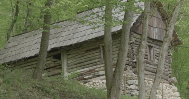 Vieux chalet pauvre dans les bois avec fondation en pierre
. - Séquence, vidéo