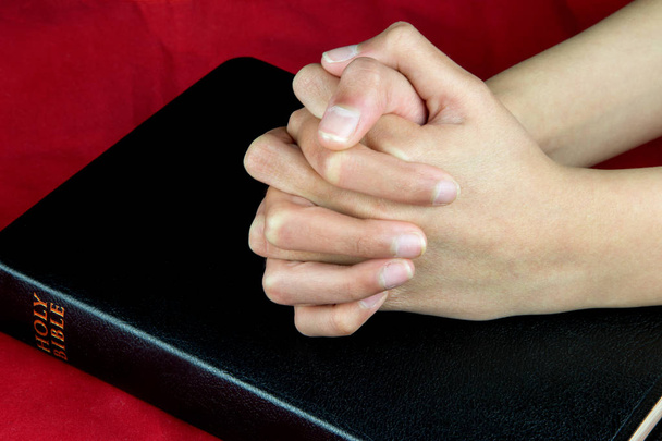 Orando con las manos en la Biblia cerrada sobre fondo rojo
 - Foto, imagen