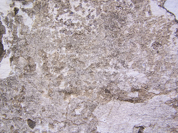 Old gray concrete background, light background - Φωτογραφία, εικόνα