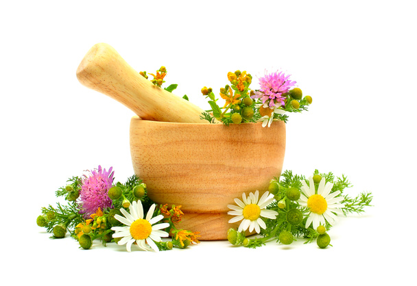 Herbes médicinales, fleurs et mortier - médecine alternative et tr
 - Photo, image