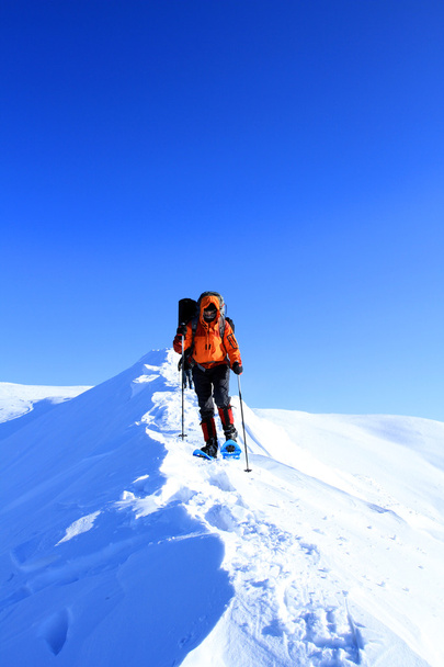 Winter hiking in snowshoes. - Photo, image