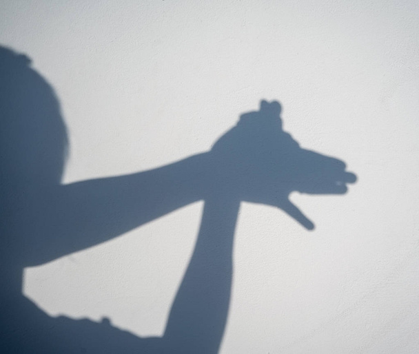 Mãos de mulher criando sombra de silhueta de animal em parede branca b
 - Foto, Imagem