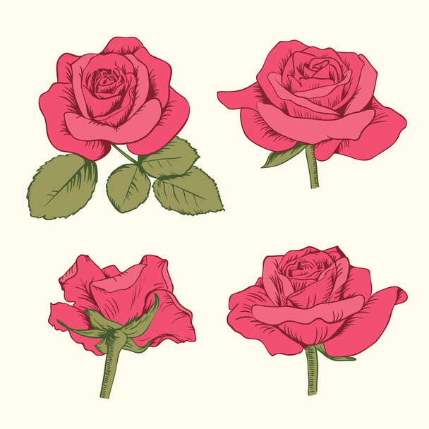 Set collection of red roses with leaves isolated on white background. Vector illustration - Vector, Image