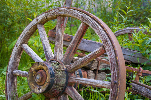 Old wooden wagon wheel in tall grass - Photo, Image