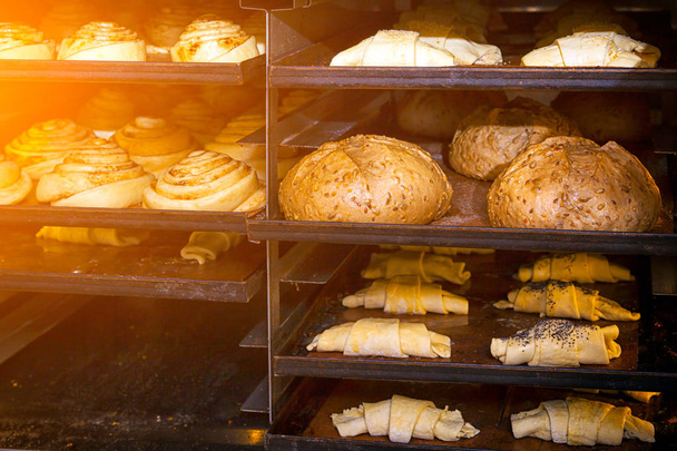 Een close-up van de kaas gebak ronde broodjes, brood, croissants voor het bakken in rechte rijen op op ijzeren dienbladen in een bakkerij bakken - Foto, afbeelding