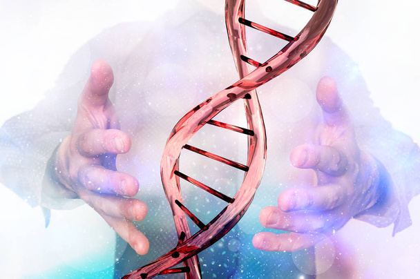 Hombre con molécula de ADN entre sus manos
 - Foto, Imagen