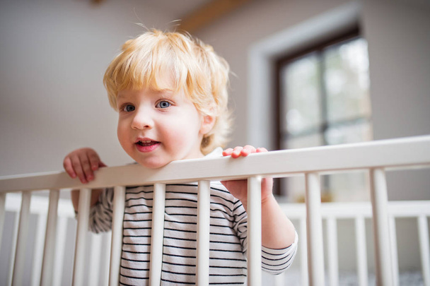 Cute toddler boy standing in a cot at home. - Фото, изображение