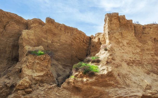 Cañón - formación a partir de arena y arcilla
 - Foto, Imagen