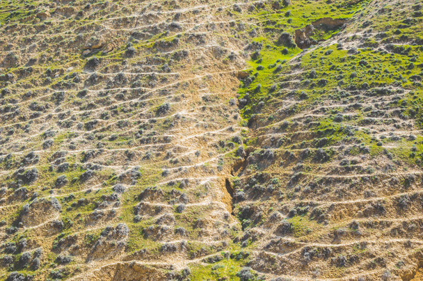 Trilhas de animais de pastagem nas colinas
 - Foto, Imagem