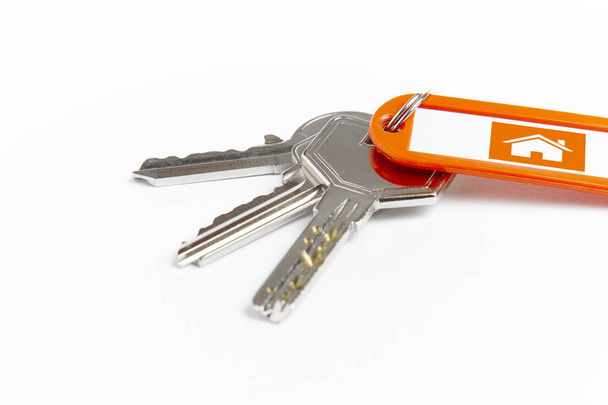 Key ring with keys over white background. Rent - Photo, Image