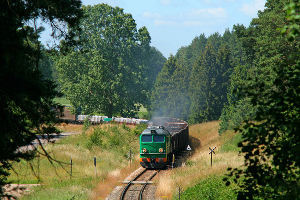 Грузовой поезд въезжающий в лес
 - Фото, изображение