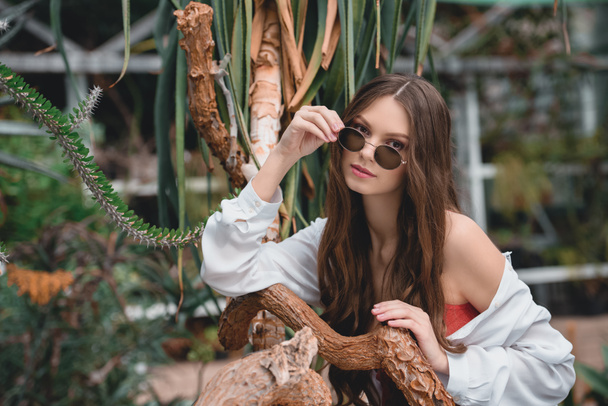 attractive woman in trendy sunglasses posing in tropical garden - Photo, Image