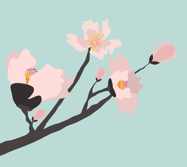 Иллюстрация цветущей вишни
 - Вектор,изображение