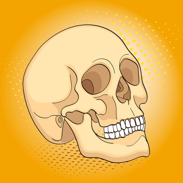 ポップアート医療オブジェクト人間の頭蓋骨。コミック スタイルの模倣 - ベクター画像