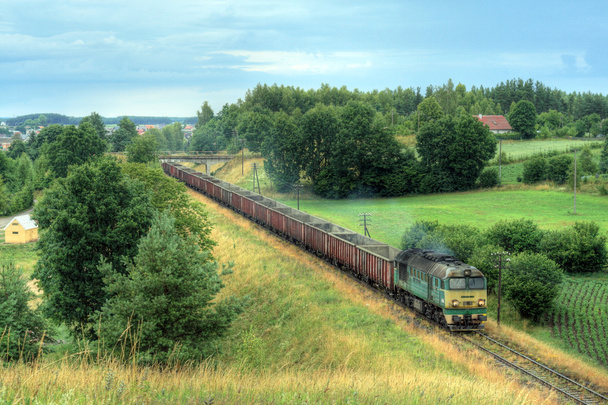 Train diesel de marchandises
 - Photo, image