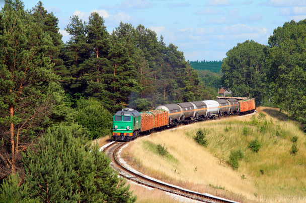 Грузовой поезд проходит через лес
 - Фото, изображение