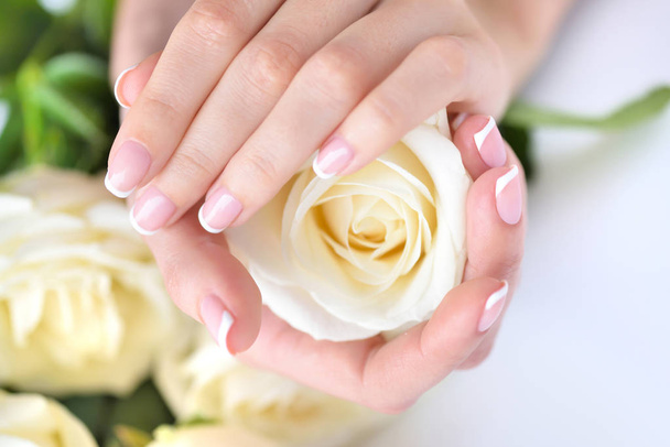 Güzel Fransız manikürü ve beyaz gülleri olan bir kadının elleri. - Fotoğraf, Görsel