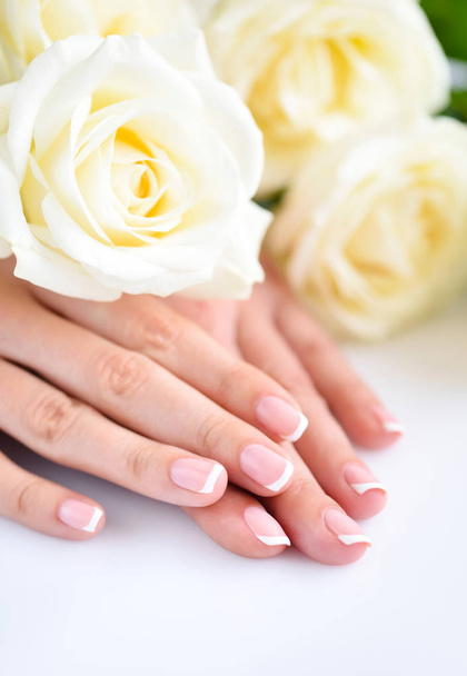 Hands of a woman with beautiful french manicure and white roses - Φωτογραφία, εικόνα