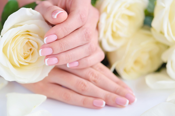 Hands of a woman with beautiful french manicure and white roses - Fotografie, Obrázek