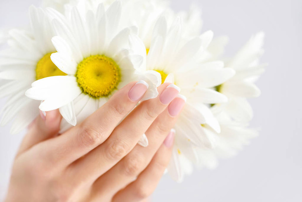Όμορφη γυναίκα γαλλικά περιποιημένα χέρια με φρέσκα λουλούδια μαργαρίτα  - Φωτογραφία, εικόνα
