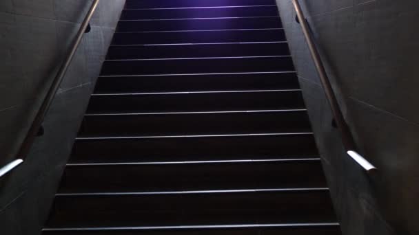 Salendo le scale / Salendo le scale, uscendo dalla metropolitana
 - Filmati, video