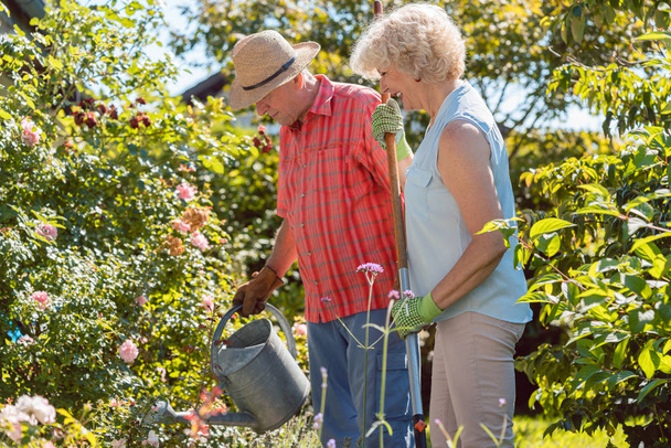 Активная счастливая пожилая женщина, стоящая рядом с мужем во время работы в саду
 - Фото, изображение