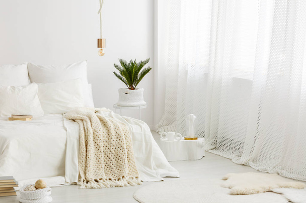 Bright, cozy bedroom interior with white bedding on the bed, palm plant and big window - Φωτογραφία, εικόνα