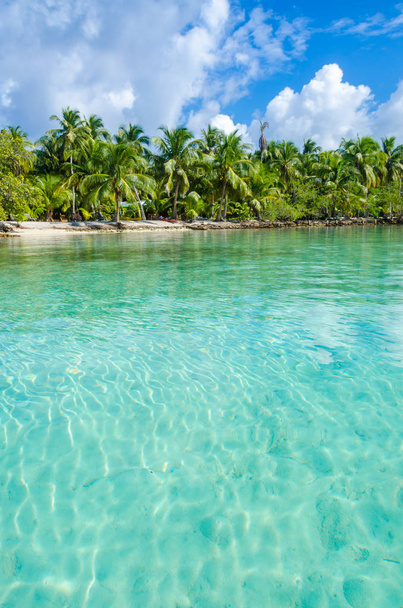 Μπελίζ Cayes - μικρό τροπικό νησί στο Barrier Reef Παράδεισος παραλία, στη θάλασσα της Καραϊβικής, το Μπελίζ, Κεντρική Αμερική - Φωτογραφία, εικόνα