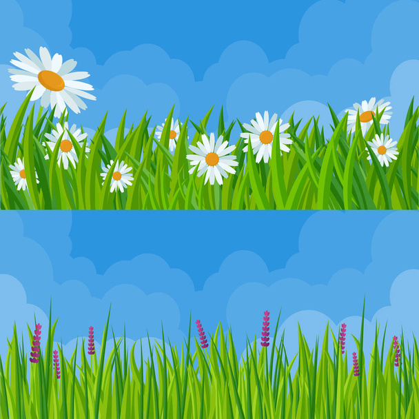 Spring grass and flowers. - Vector, Image