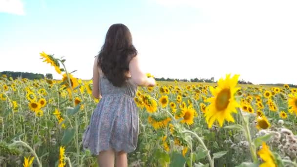 Sarı ayçiçeği sahada koşan tanınmaz halde güzel kız. Çayırlarda yaz gün boyunca koşu mutlu genç kadın. Özgürlük eğlence kavramı. Ağır çekim - Video, Çekim