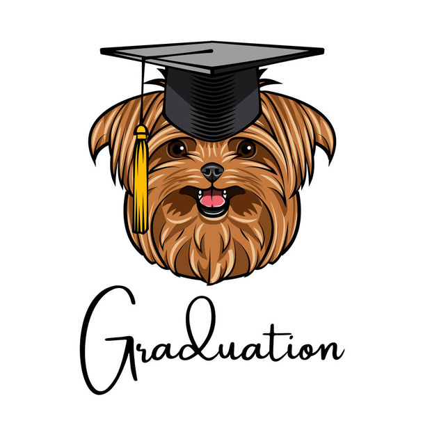 Yorkshire terrier dog graduate. Graduate's cap hat. Graduation text. Dog portrait. Vector. - Wektor, obraz