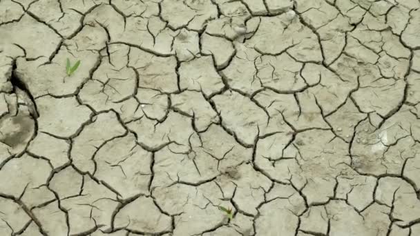 Lago seco con textura natural de arcilla agrietada
 - Metraje, vídeo
