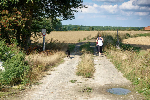 Woman walking with pet dog on dirt road amidst grass field - Fotografie, Obrázek