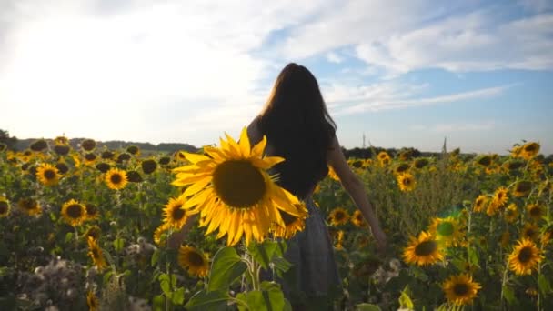 Beautiful girl standing on yellow sunflower field and raising hands. Young unrecognizable woman in dress enjoying summer nature at the meadow. Sun shine at background. Freedom concept. Slow motion - Footage, Video