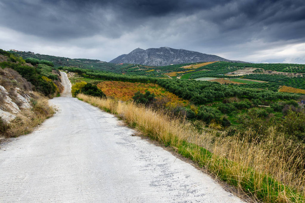 Довга дорога поряд ферми і красою на тлі, Греція - Фото, зображення
