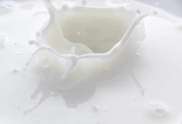 Splash and splashes from falling milk like a crown - Фото, зображення