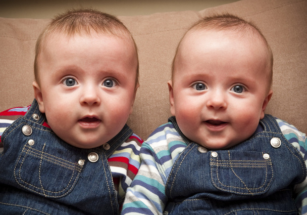 Twin boys in overalls - Photo, Image