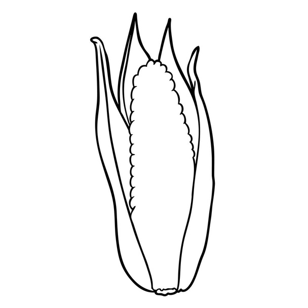γραμμικό σχέδιο από ένα βιολογικό καλαμπόκι - Διάνυσμα, εικόνα