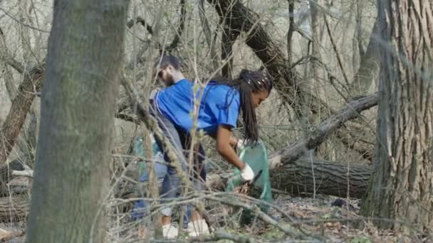 Vrijwilligers voor het verzamelen van vuilnis in bos - Video